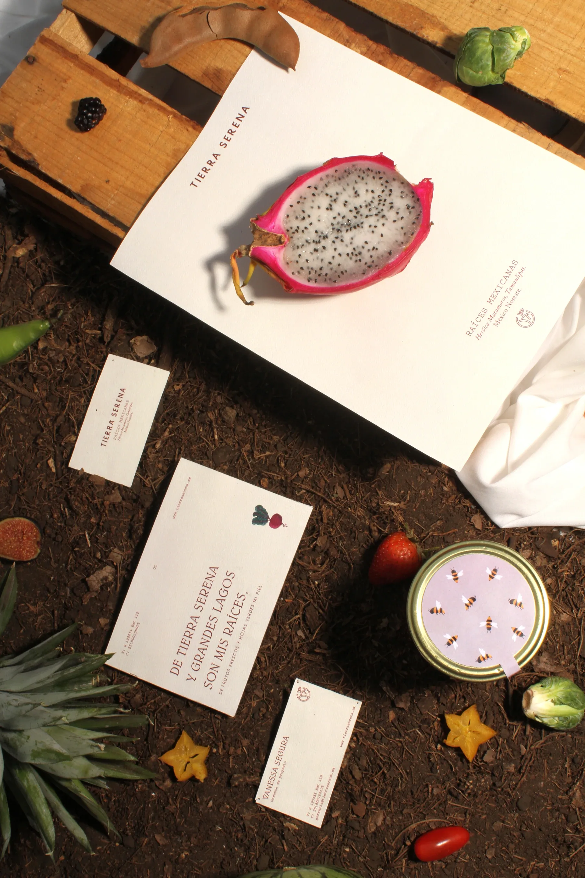 Tierra Serena stationery with dragon fruit and honey jar on soil